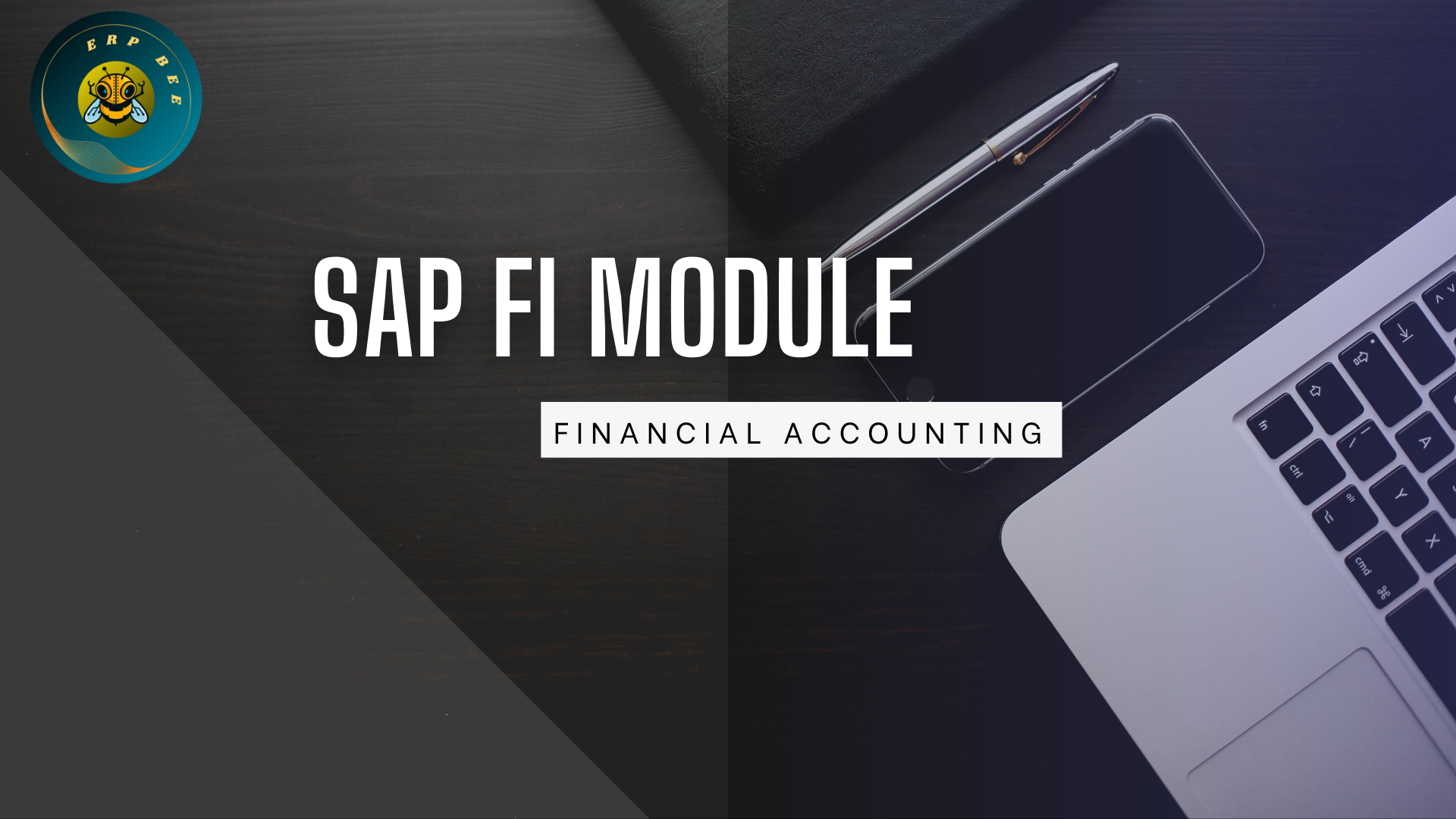 SAP FI Module (Financial Accounting)