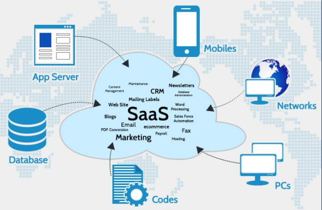 SaaS vs SAP